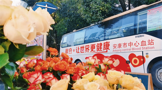 安康這三兄妹，熱血！