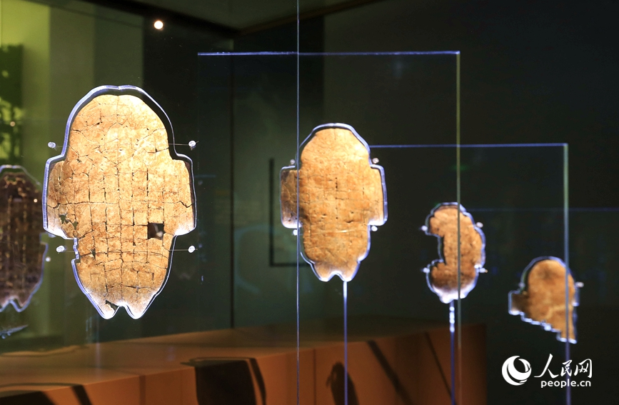 殷墟博物館展出的甲骨文。人民網(wǎng)記者 慎志遠(yuǎn) 攝