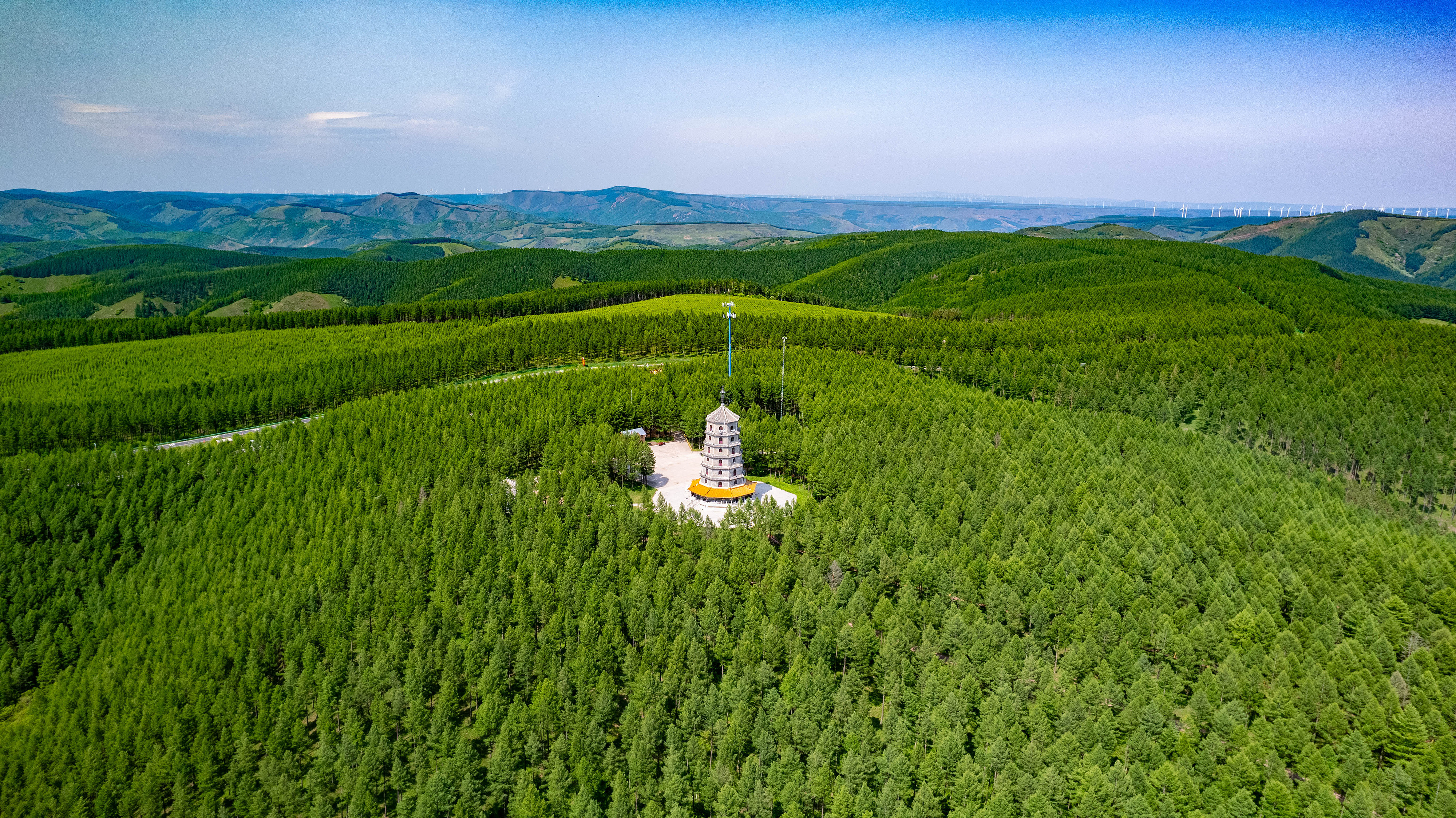 2025年6月11日，河北承德，塞罕壩林海浩渺。